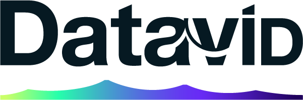 Datavid